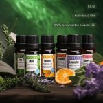 Pulaiyi Aromaterápiás illóolaj készlet - 4 db - Black Friday