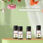 Phatoil Prémium Illóolaj Szett 20 db Illattal Diffúzorhoz 20x5 ml - Black Friday