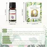 Phatoil Prémium Illóolaj Szett 20 db Illattal Diffúzorhoz 20x5 ml - Black Friday