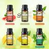 Phatoil Set Premium de Ulei Esențial cu 6 Arome 6x10 ml