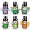 Phatoil Set Uleiuri Esențiale Premium 6 Bucăți pentru Aromaterapie, Relaxare și Masaj 6x10 ml