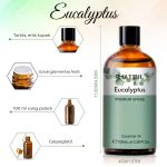 Phatoil Prémiový esenciální olej – Dárek s dřevěným osvěžovačem vzduchu 100 ml - Eukalyptus