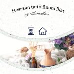 Phatoil Prémiový esenciální olej – Dárek s dřevěným osvěžovačem vzduchu 100 ml - Eukalyptus