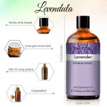 Phatoil Prémiový esenciální olej – Dárek s dřevěným osvěžovačem 100 ml – Levandule