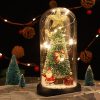 Karácsonyi világító fenyőfa búrában, mikulással