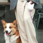 2v1 multifunkční zatahovací vodítko pro psy s lampou - fialové